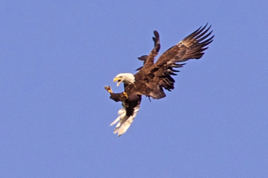 IMG_0596 - Version 2.jpg